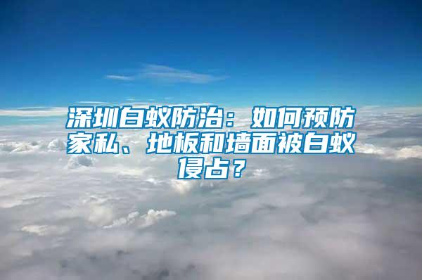 深圳白蟻防治：如何預(yù)防家私、地板和墻面被白蟻侵占？