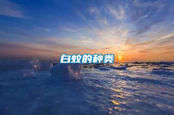 白蚊的種類(lèi)