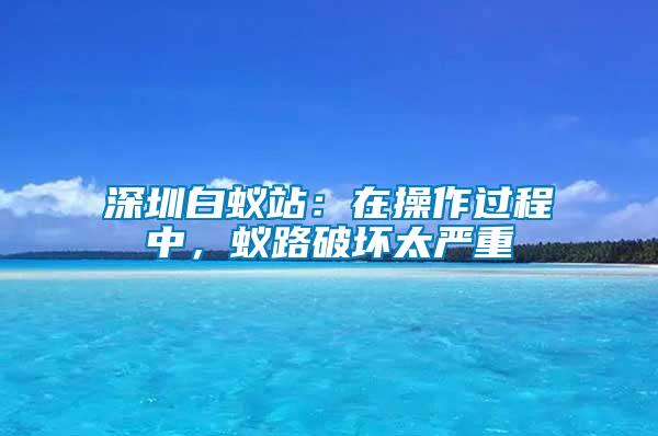 深圳白蟻站：在操作過程中，蟻路破壞太嚴(yán)重