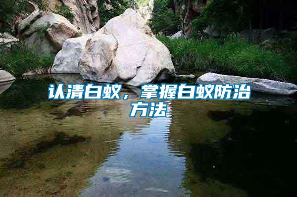 認清白蟻，掌握白蟻防治方法
