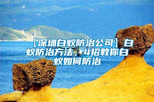 【深圳白蟻防治公司】白蟻防治方法，4招教你白蟻如何防治