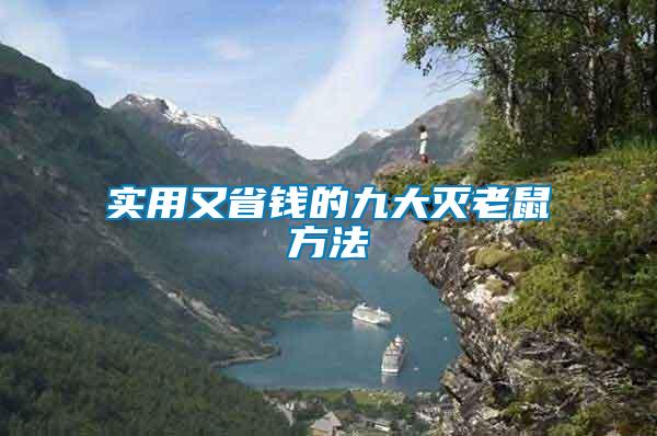 實(shí)用又省錢的九大滅老鼠方法