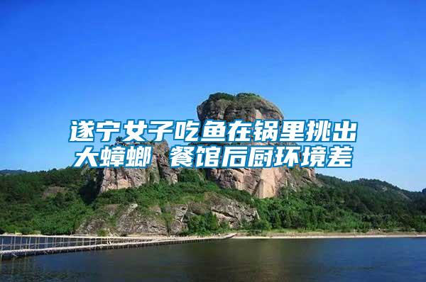 遂寧女子吃魚(yú)在鍋里挑出大蟑螂 餐館后廚環(huán)境差