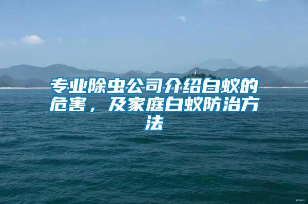專(zhuān)業(yè)除蟲(chóng)公司介紹白蟻的危害，及家庭白蟻防治方法