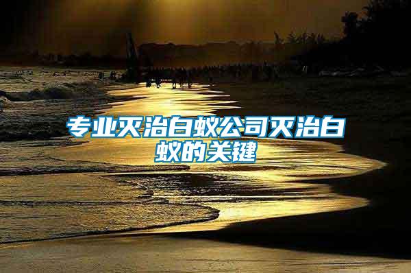 專業(yè)滅治白蟻公司滅治白蟻的關(guān)鍵