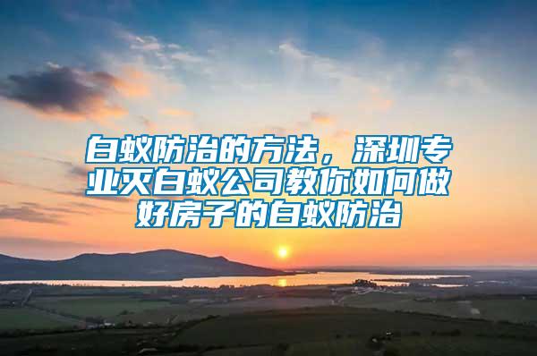 白蟻防治的方法，深圳專業(yè)滅白蟻公司教你如何做好房子的白蟻防治