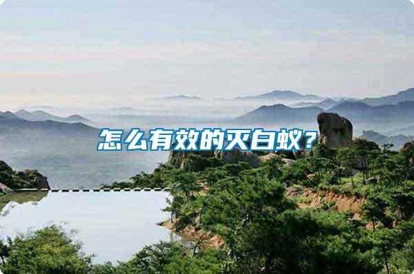 怎么有效的滅白蟻？
