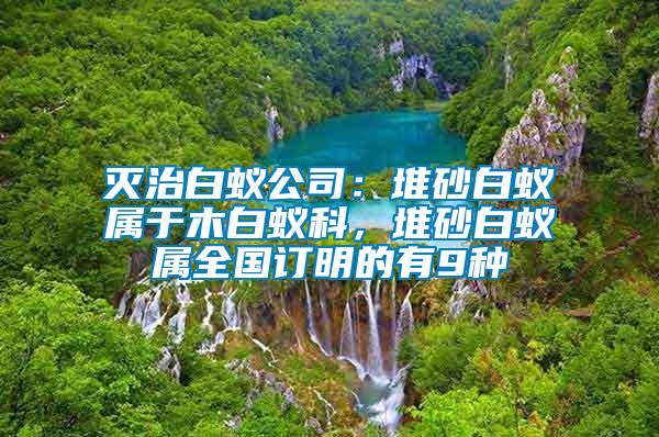 滅治白蟻公司：堆砂白蟻屬于木白蟻科，堆砂白蟻屬全國訂明的有9種