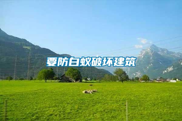要防白蟻破壞建筑
