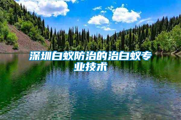深圳白蟻防治的治白蟻專業(yè)技術