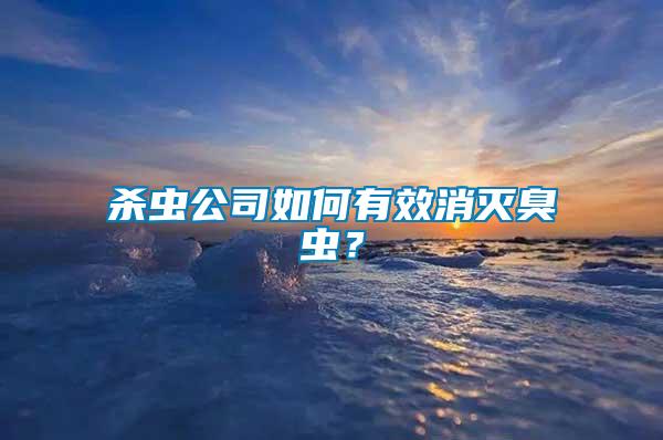 殺蟲公司如何有效消滅臭蟲？
