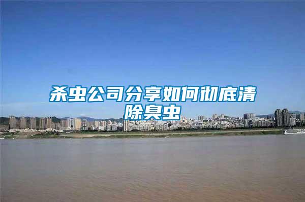 殺蟲公司分享如何徹底清除臭蟲