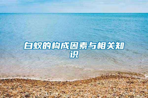 白蟻的構(gòu)成因素與相關(guān)知識