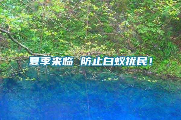 夏季來臨 防止白蟻擾民！