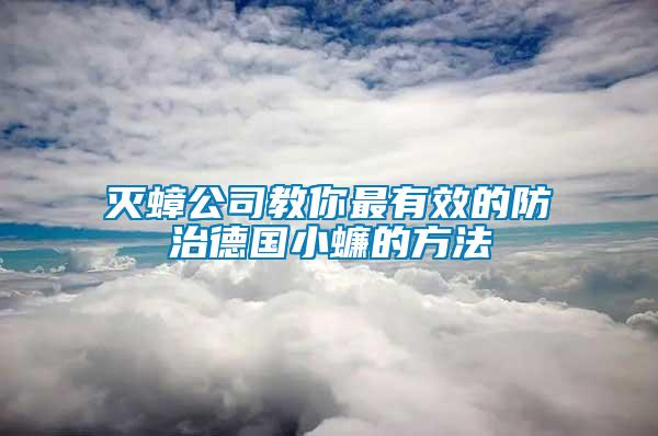 滅蟑公司教你最有效的防治德國(guó)小蠊的方法