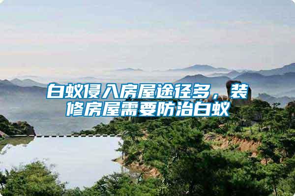 白蟻侵入房屋途徑多，裝修房屋需要防治白蟻