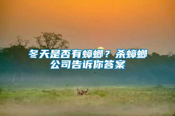 冬天是否有蟑螂？殺蟑螂公司告訴你答案