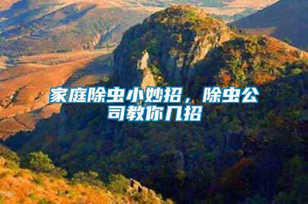 家庭除蟲小妙招，除蟲公司教你幾招