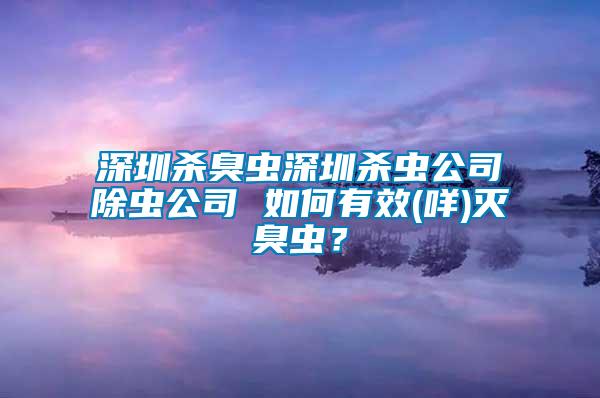 深圳殺臭蟲深圳殺蟲公司除蟲公司 如何有效(咩)滅臭蟲？