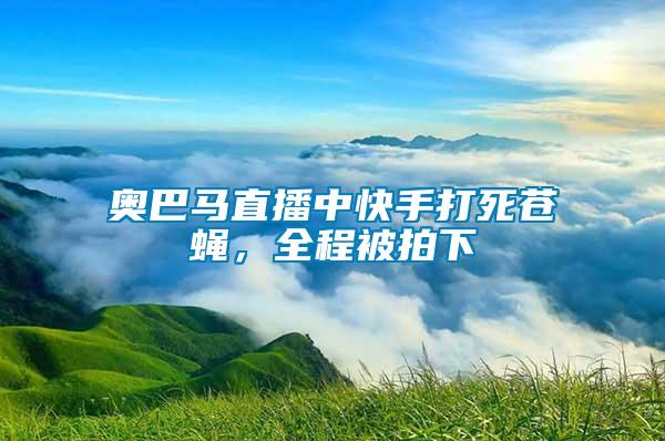 奧巴馬直播中快手打死蒼蠅，全程被拍下