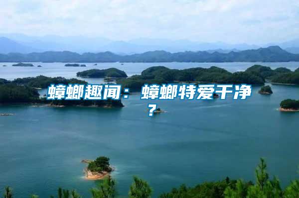 蟑螂趣聞：蟑螂特愛干凈？