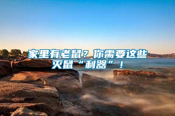 家里有老鼠？你需要這些滅鼠“利器”！