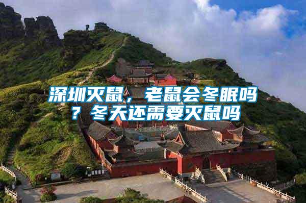 深圳滅鼠，老鼠會冬眠嗎？冬天還需要滅鼠嗎