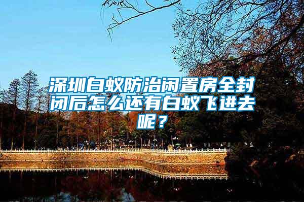 深圳白蟻防治閑置房全封閉后怎么還有白蟻飛進去呢？