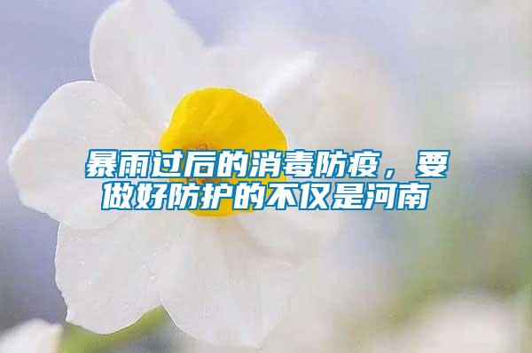 暴雨過后的消毒防疫，要做好防護的不僅是河南