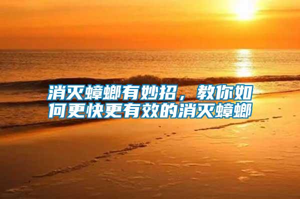 消滅蟑螂有妙招，教你如何更快更有效的消滅蟑螂