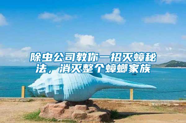 除蟲公司教你一招滅蟑秘法，消滅整個蟑螂家族