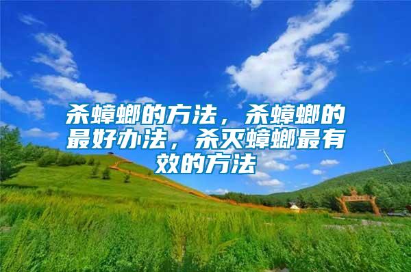 殺蟑螂的方法，殺蟑螂的最好辦法，殺滅蟑螂最有效的方法