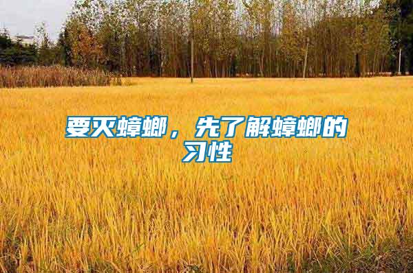要滅蟑螂，先了解蟑螂的習(xí)性