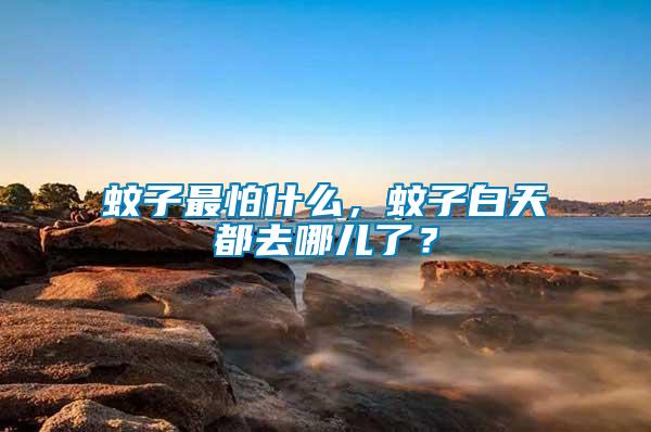 蚊子最怕什么，蚊子白天都去哪兒了？
