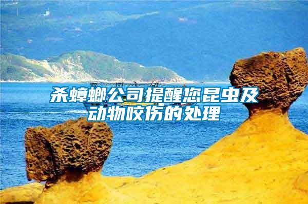 殺蟑螂公司提醒您昆蟲(chóng)及動(dòng)物咬傷的處理