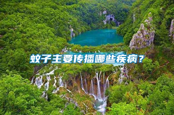 蚊子主要傳播哪些疾??？