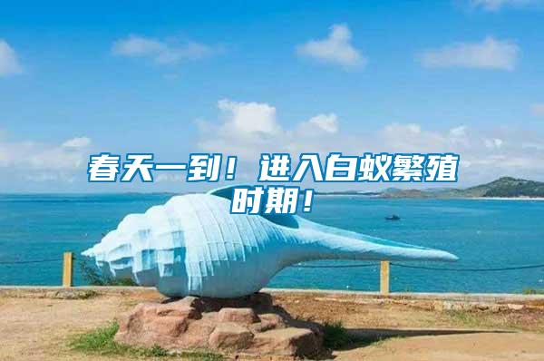 春天一到！進(jìn)入白蟻繁殖時(shí)期！