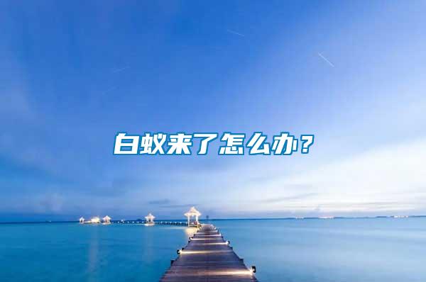 白蟻來了怎么辦？