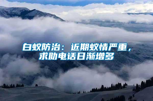 白蟻防治：近期蟻情嚴重，求助電話日漸增多