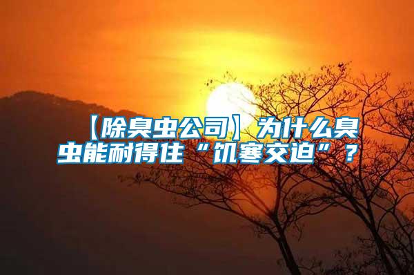 【除臭蟲公司】為什么臭蟲能耐得住“饑寒交迫”？