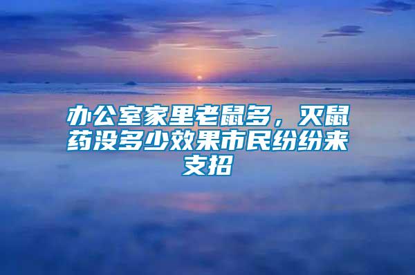 辦公室家里老鼠多，滅鼠藥沒多少效果市民紛紛來支招