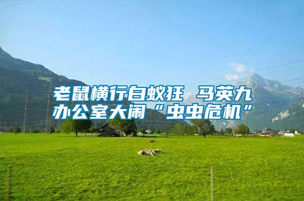 老鼠橫行白蟻狂 馬英九辦公室大鬧“蟲(chóng)蟲(chóng)危機(jī)”