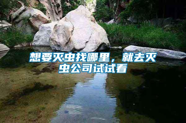 想要滅蟲找哪里，就去滅蟲公司試試看