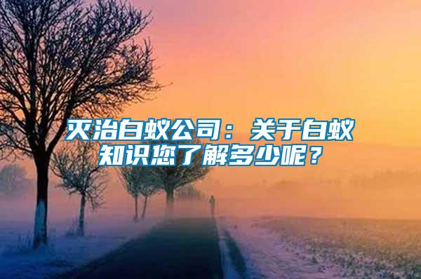 滅治白蟻公司：關(guān)于白蟻知識您了解多少呢？