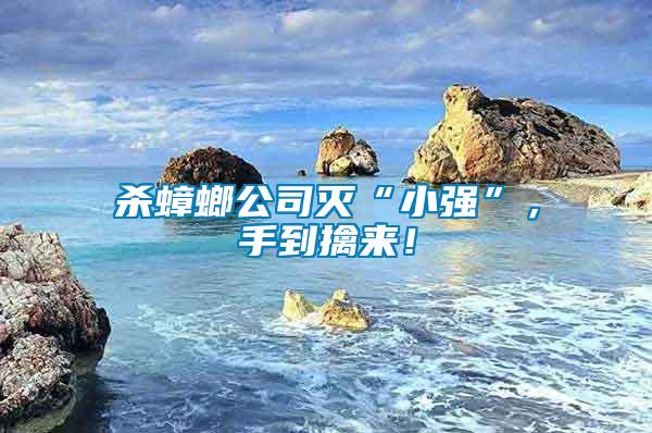 殺蟑螂公司滅“小強(qiáng)”，手到擒來！