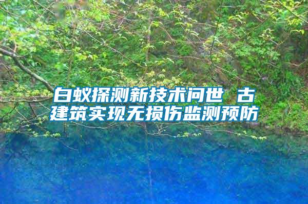 白蟻探測(cè)新技術(shù)問(wèn)世 古建筑實(shí)現(xiàn)無(wú)損傷監(jiān)測(cè)預(yù)防