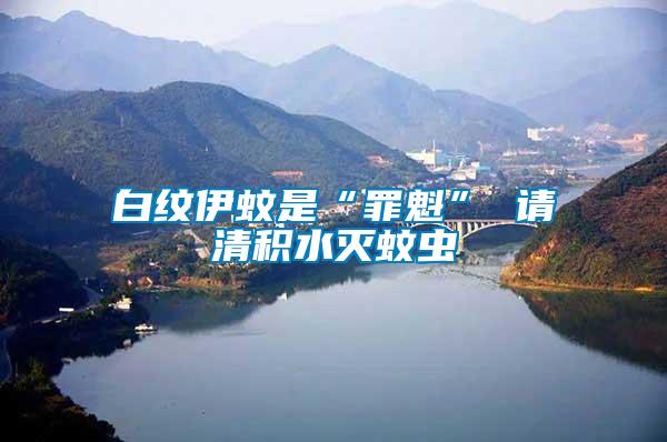 白紋伊蚊是“罪魁” 請(qǐng)清積水滅蚊蟲(chóng)
