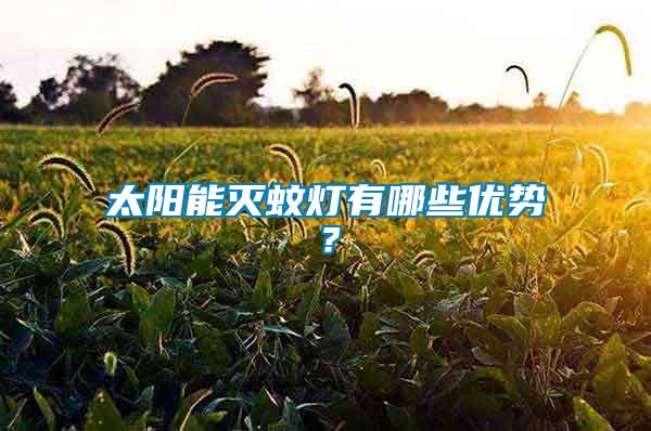 太陽(yáng)能滅蚊燈有哪些優(yōu)勢(shì)？