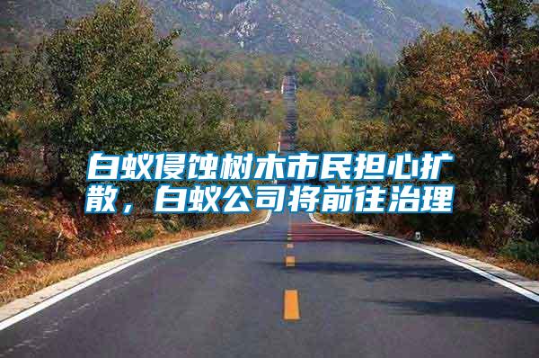 白蟻侵蝕樹(shù)木市民擔(dān)心擴(kuò)散，白蟻公司將前往治理