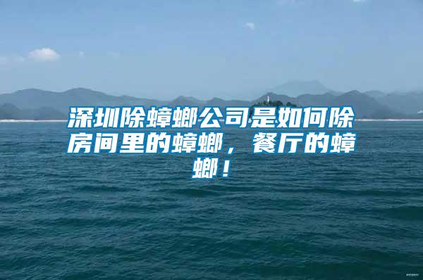 深圳除蟑螂公司是如何除房間里的蟑螂，餐廳的蟑螂！
